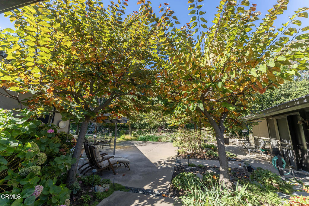 1345 Carnarvon Drive