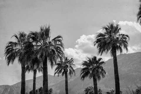 2743 Indian Canyon Drive Palm Springs CA 92262