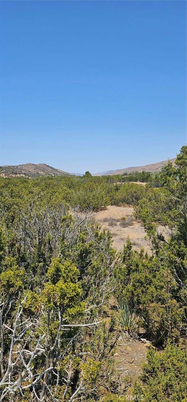 Approximately 5 acres in Acton, CA! Beautiful level ground for your building project. Speckled with native junipers offering privacy and beauty. Custom homes in the area. Property is near Highway 14 for easy commuting. Near Agua Dulce Vineyard and town center.
