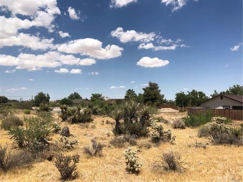 Photo of 0 Campero Drive, Yucca Valley, CA 92284 (MLS # CV26026345)