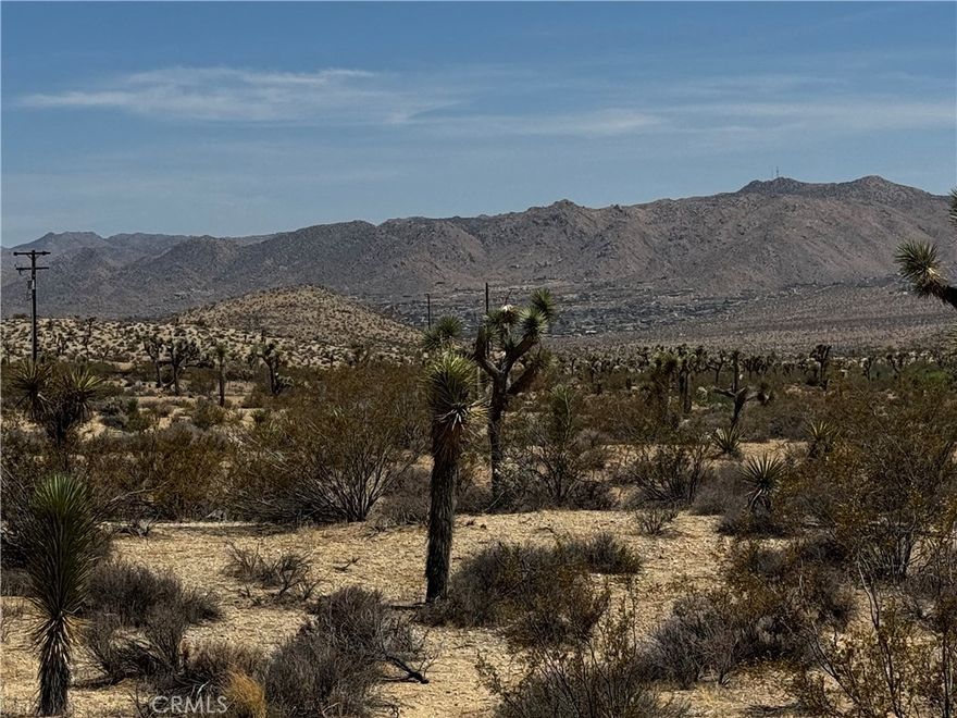 Great opportunity to own a 2.18-acre parcel in a desirable area of the High Desert! This spacious and mostly flat lot features beautiful native desert vegetation, including mature trees and plants, and offers stunning mountain and desert views in every direction. Conveniently located just a short drive to town and only a half-block off paved roads. Water and electricity appear to be nearby—buyer to verify all utilities and zoning. Whether you're looking to build your dream home or hold as an investment, this is a prime piece of land worth considering. Drive by and see the potential for yourself today!