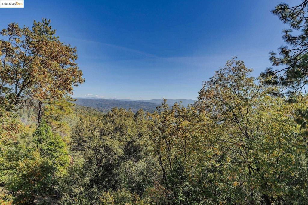 Photo of 14900 Williams Rd Rd, Pioneer, CA 95666 (MLS # 41118297)