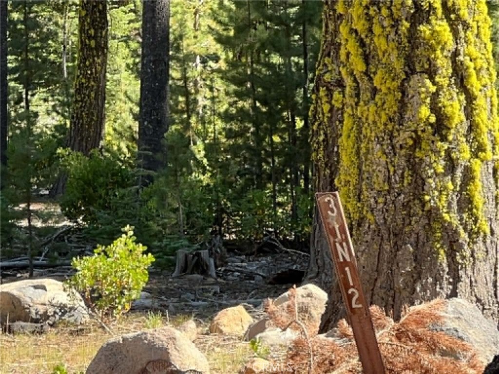 0 LOGGING Road
