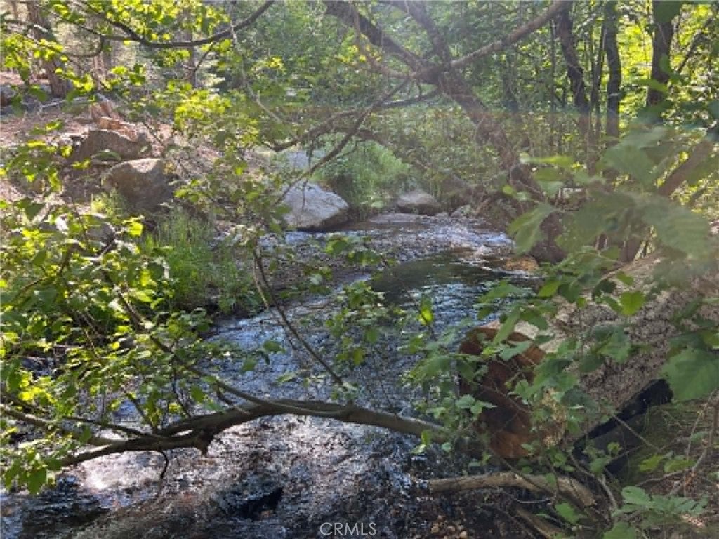 0 LOGGING Road