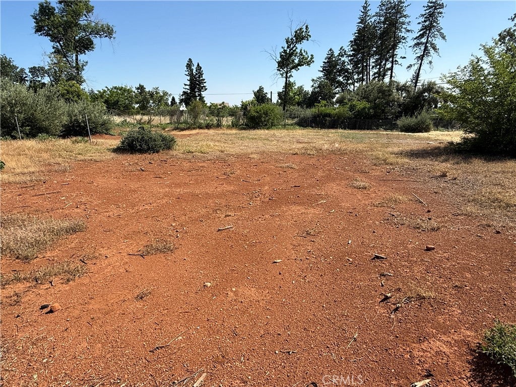 1438 Toni Drive