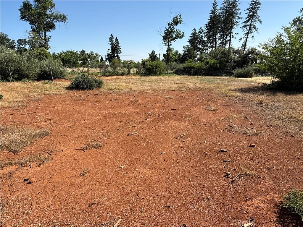 1438 Toni Drive