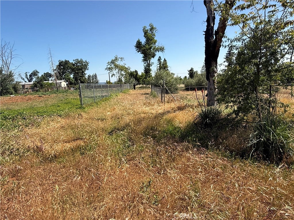1438 Toni Drive