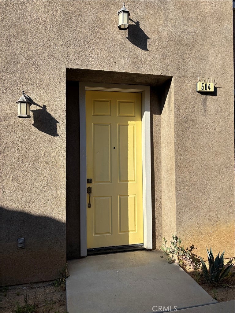 824 Coriander 504