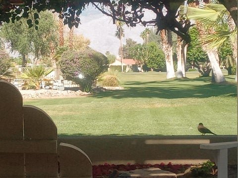 Tiny photo for 34895 Mission Hills Drive, Rancho Mirage, CA 92270 (MLS # 219155152DA)