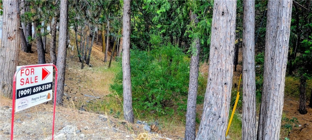 0 Grass Valley