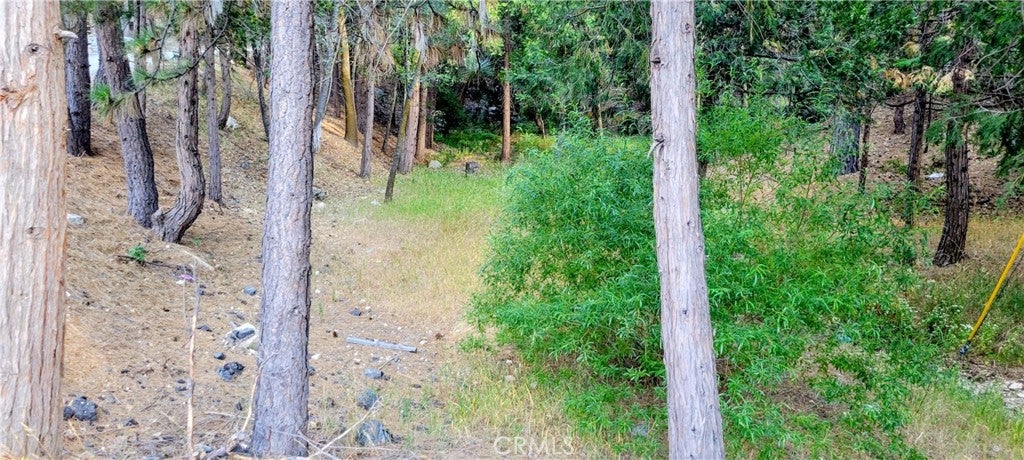 0 Grass Valley