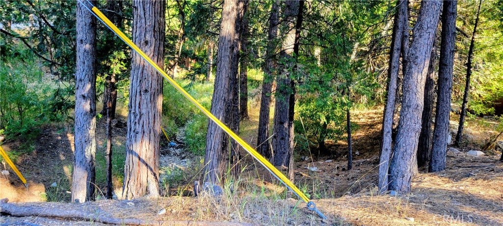 0 Grass Valley