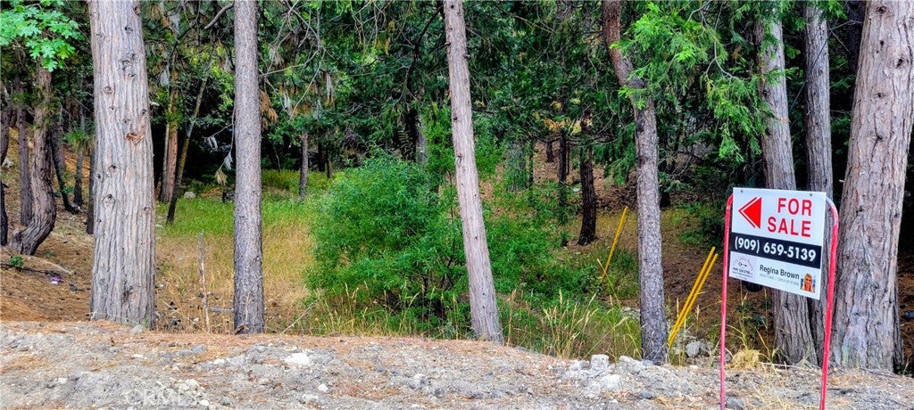 0 Grass Valley