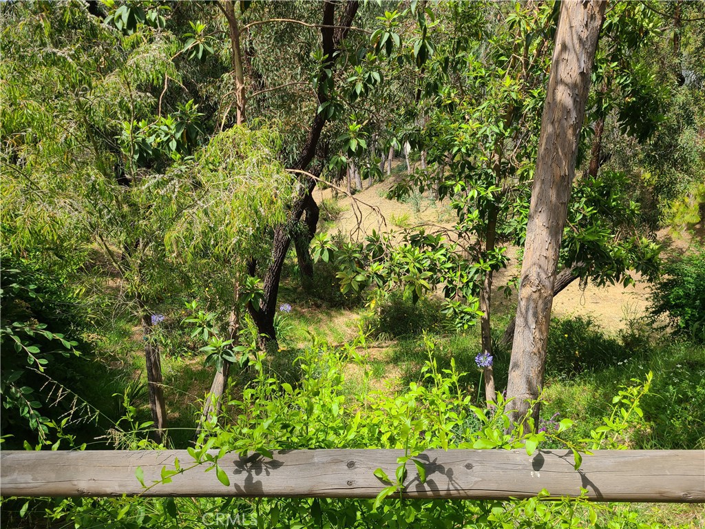 Eucaluptus Grove - Residential