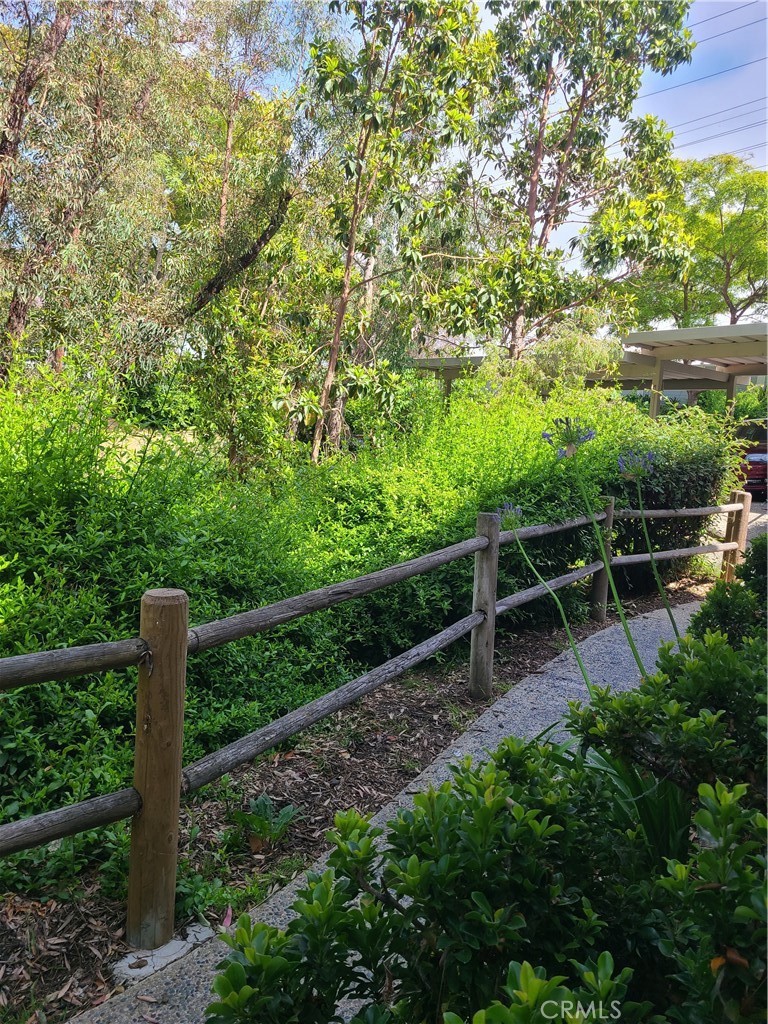 Eucaluptus Grove - Residential