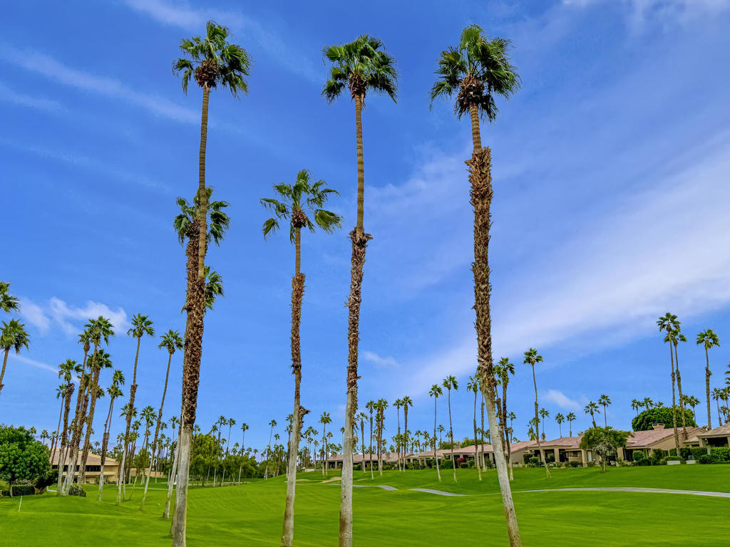 Palm Valley CC - Residential