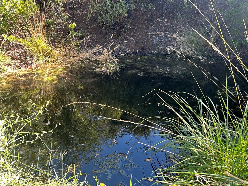 8020 Rocky Creek
