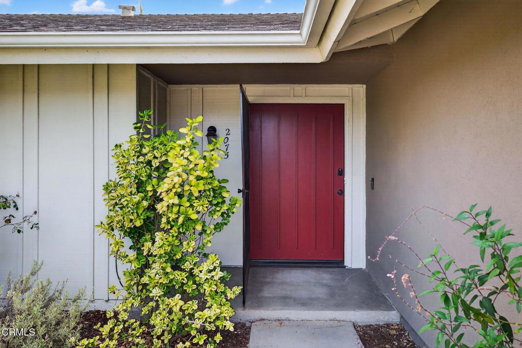 2075 Mandrill Avenue