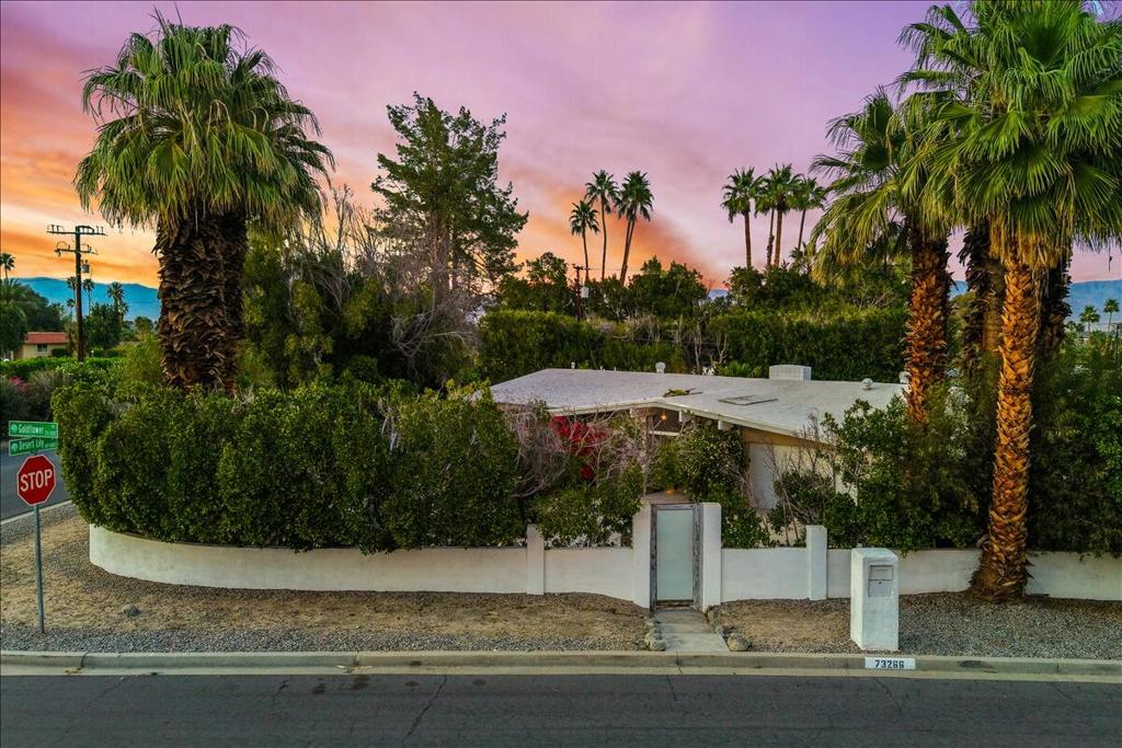 73266 Goldflower Street