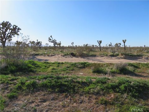 Photo of 0 Luna Road, Phelan, CA 92371 (MLS # OC26023858)