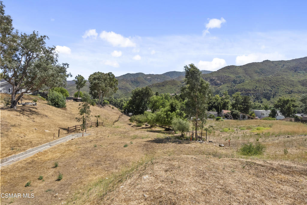 29704 Triunfo Drive