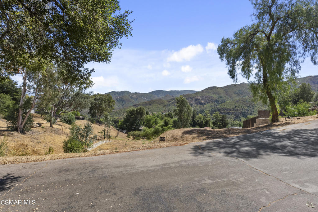 29704 Triunfo Drive