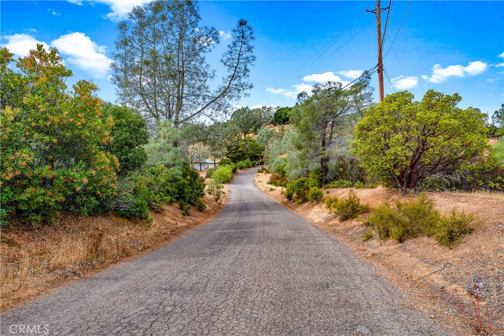 Water and electricity are in the paved street! At 1.26 acres, this lot is larger than most in the area. Near the lake. Pretty trees and vegetation. Nice views of hills and valleys to the north.