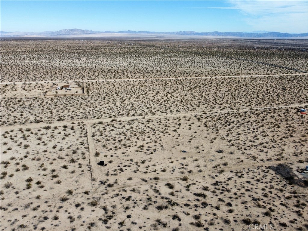1234 Desert Lily