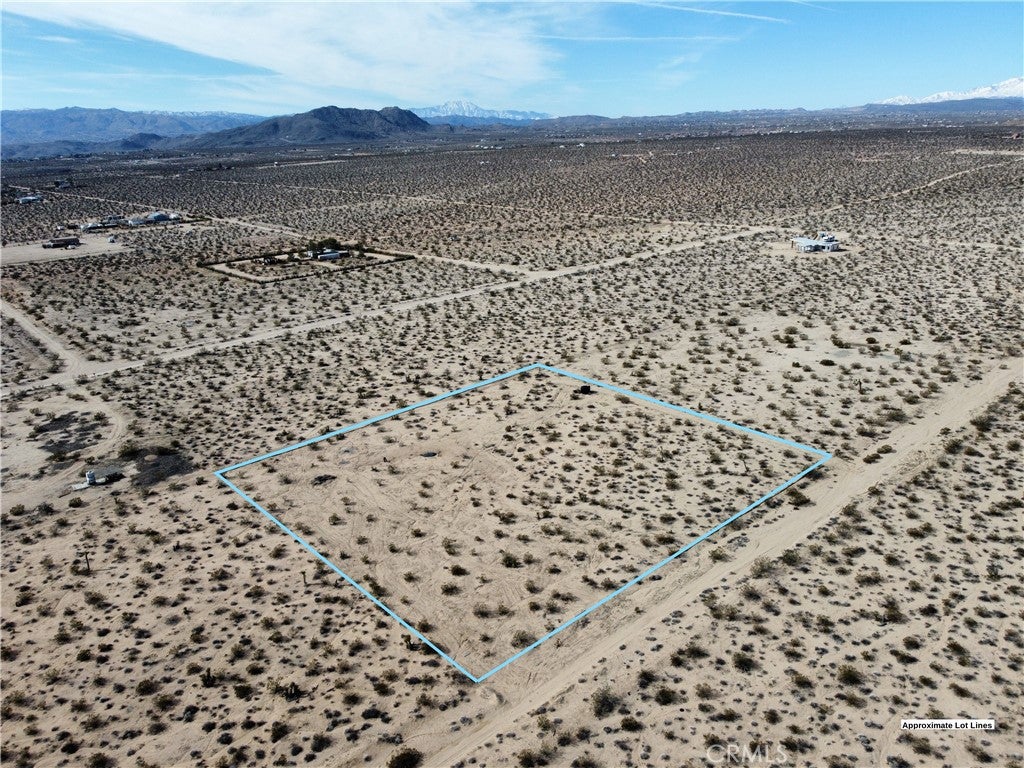 1234 Desert Lily