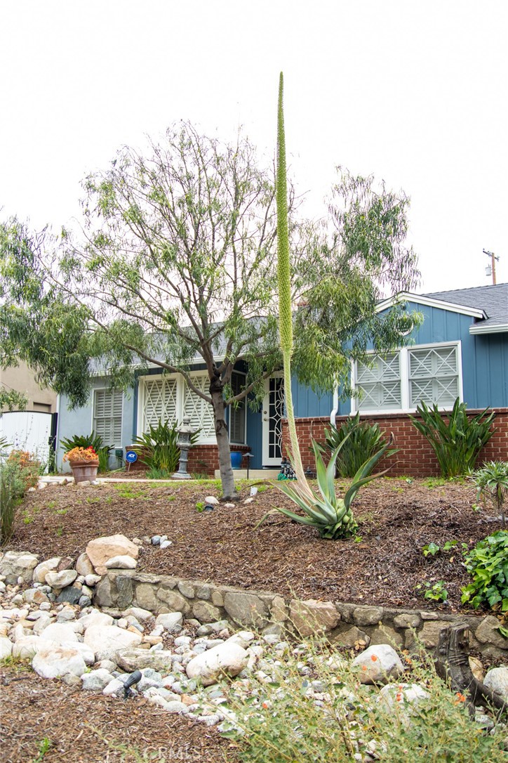 2619 Mary Street
