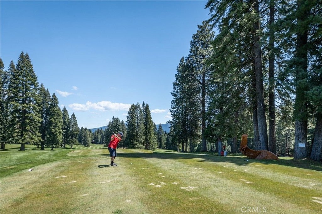 915 Golf Club
