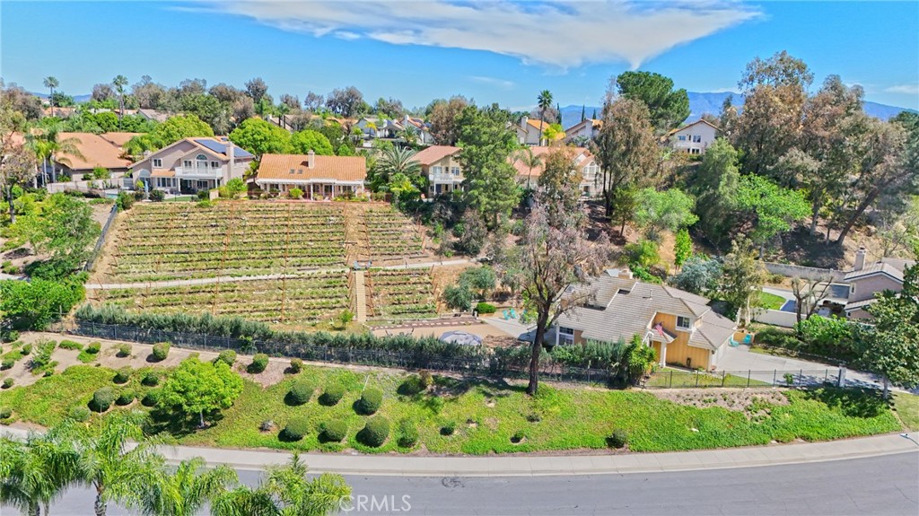 31465 Paseo Goleta