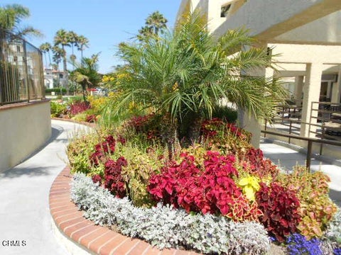 Tiny photo for 2253 Martinique Lane, Oxnard, CA 93035 (MLS # V1-37488)