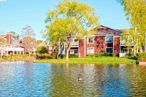 79 Marina Lakes Dr Richmond CA 94804