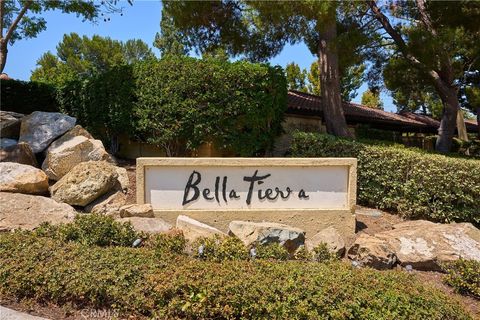 25591 Indian Hill Lane E Laguna Hills CA 92653