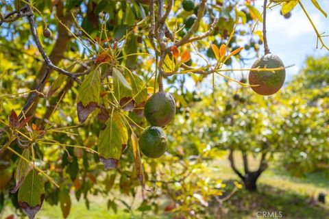 Tiny photo for 1301 Little Morro Creek Road, Morro Bay, CA 93442 (MLS # PI26110066)
