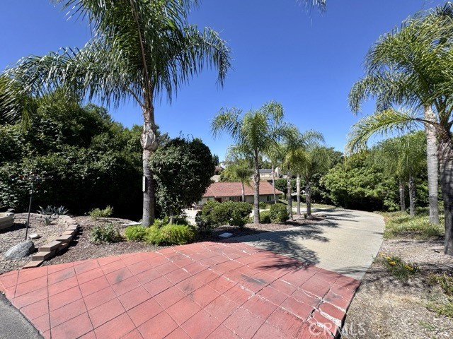 29825 Puesta Del Sol