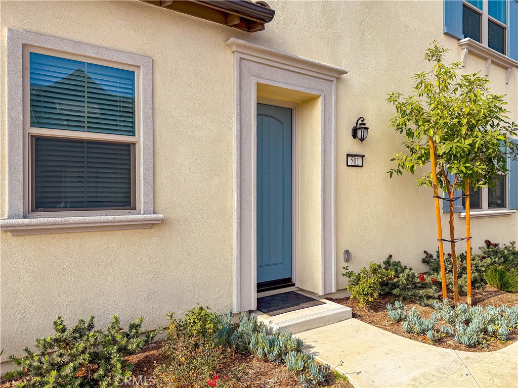 501 Embrook