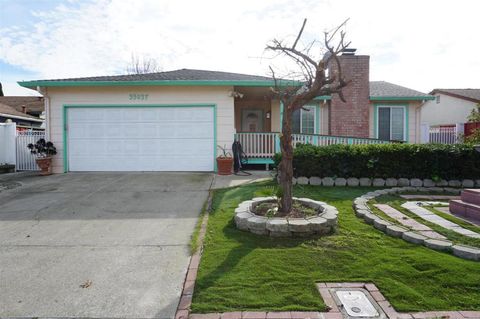 Photo of 35037 Begonia Street, Union City, CA 94587 (MLS # ML82036518)