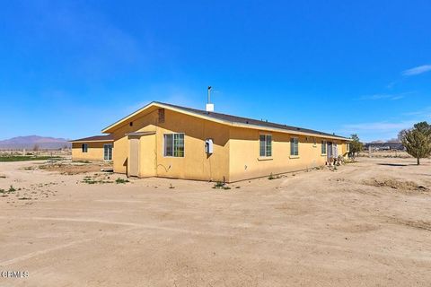 Photo of 34804 Sunswept Drive, Lucerne Valley, CA 92356 (MLS # P1-25975)