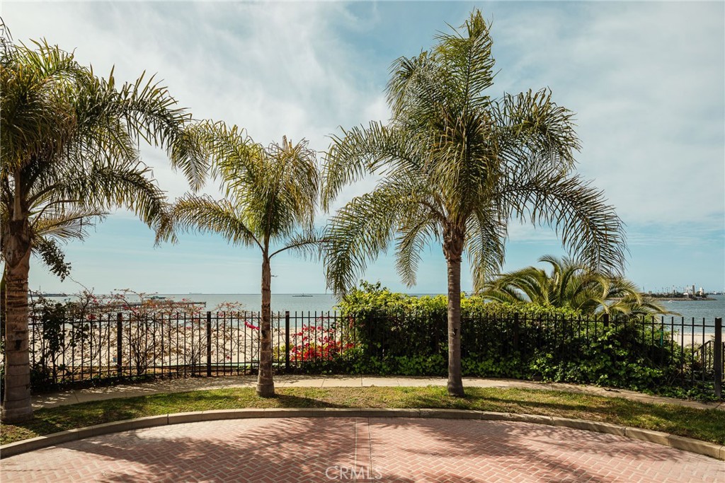 Bluff Park (BLF) - Residential