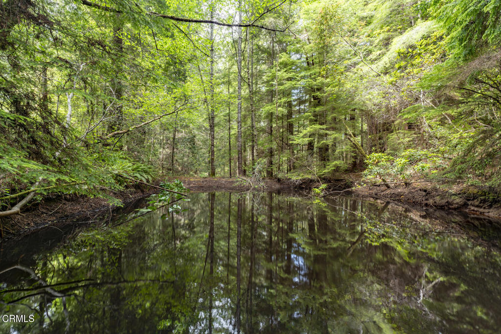 42900 Little River-Airport Road