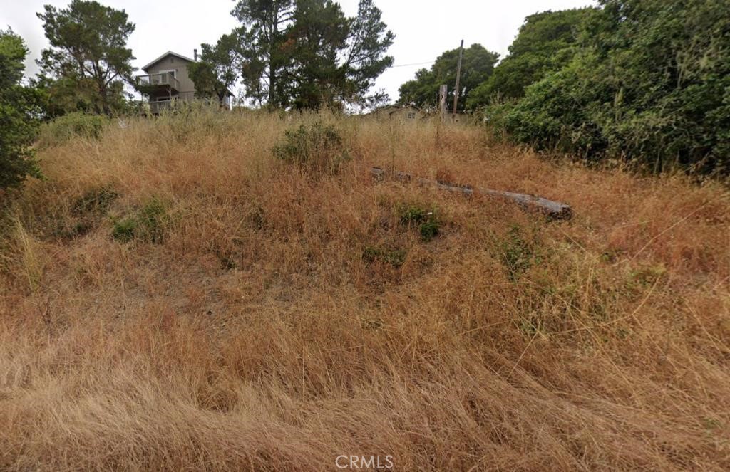 Cambria Pines Manor - Land