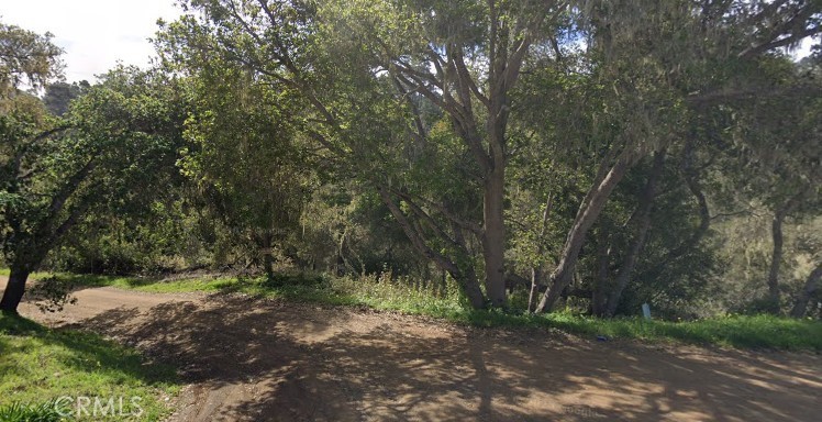 Cambria Pines Manor - Land