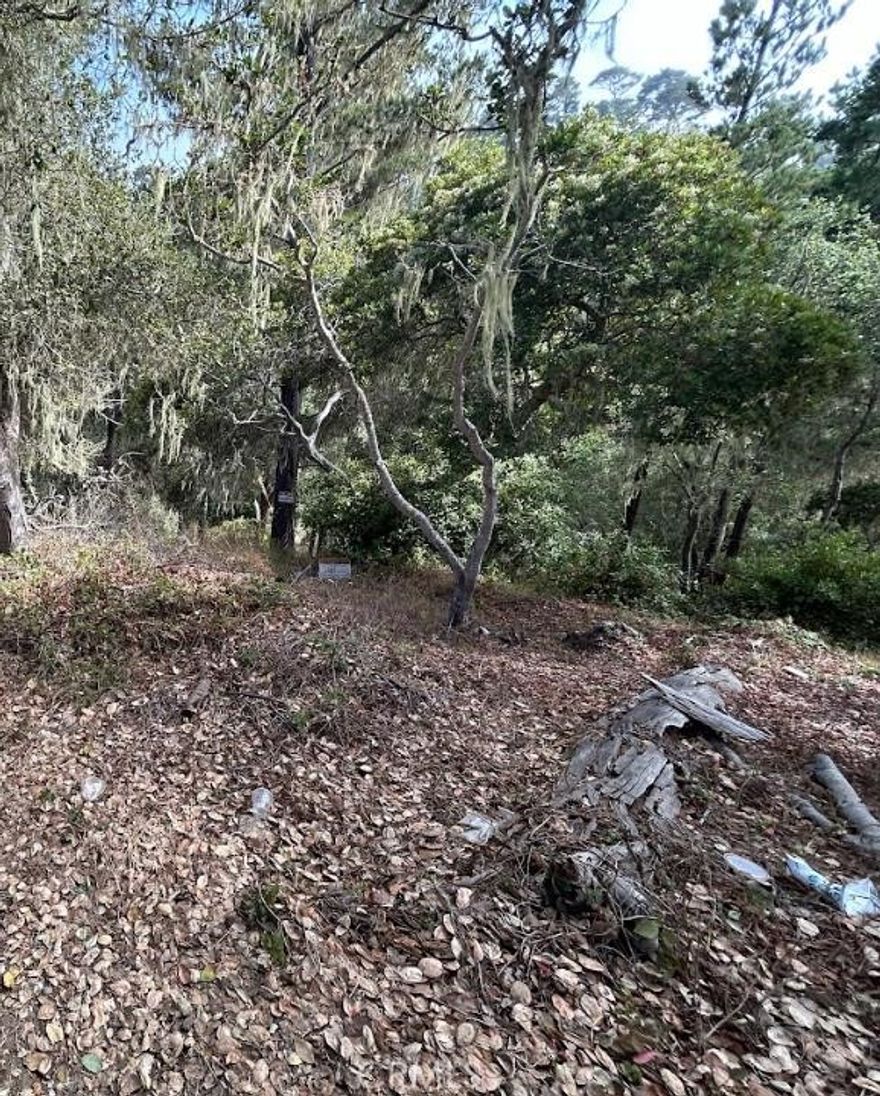 Incredible investment opportunity, Major Discount!

We have 2 other lots for sale nearby and we can sell all 3 lots together!

Don't miss this opportunity to make this land your own!


Only 1 - 6 mins away from the beach, stores, restaurants, parks, etc.

Only 2 hours & 16 mins away from Santa Barbara, CA & 3 hours & 56 mins away from Los Angeles, CA.