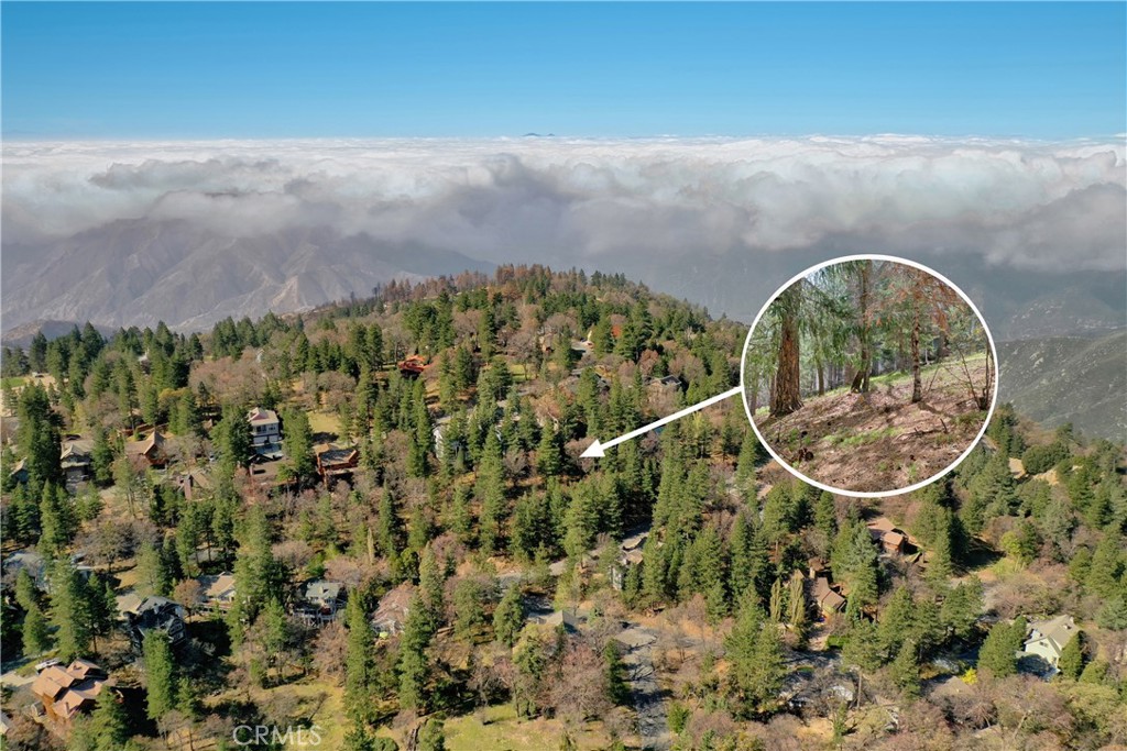 Imagine the possibilities of building your dream custom home in one of the most prestigious neighborhoods in Running Springs. The Enchanted Forest neighborhood is comprised of beautiful custom homes throughout and is the closest mountain community to the city below it! Conveniently located near highway 330 for easy access and ideal for commuters. Features wide maintained roads and available underground utilities. Close to Snow Valley and Skypark at Santa's Village. This area truly offers the best of mountain living, don't let this opportunity slip away!