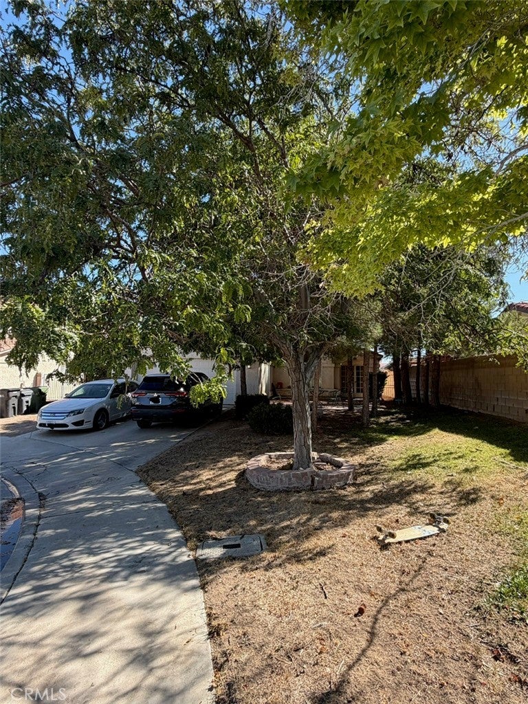 44114 Radcliff Court