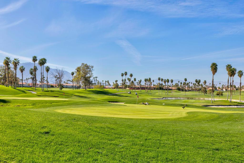 229 Desert Falls Drive E