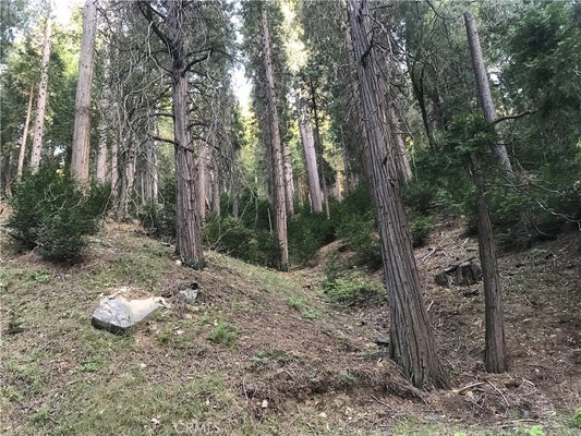 0 MOJAVE RIVER, CEDARPINES PARK, CA 92322 - Image d051d3d0f67e1797df75ccdd0ee09a62/555585943