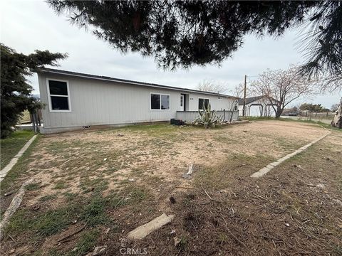 Photo of 8734 Nevada Rd, Phelan, CA 92371 (MLS # HD26047561)